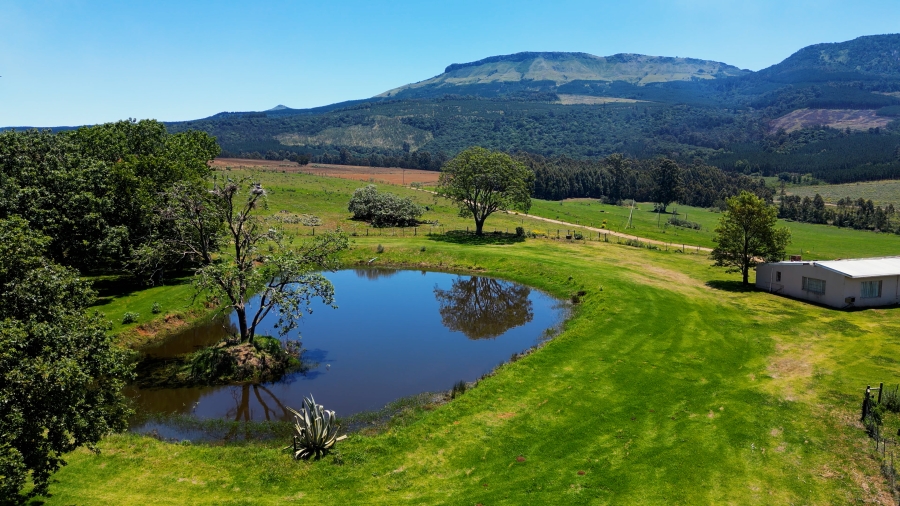 0 Bedroom Property for Sale in Stutterheim Rural Eastern Cape